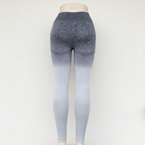 Adapt Ombre Seamless Yoga Leggings