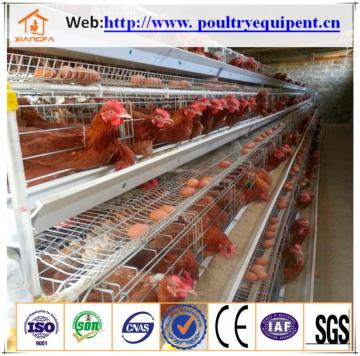 2017 hot sales chicken layer cage