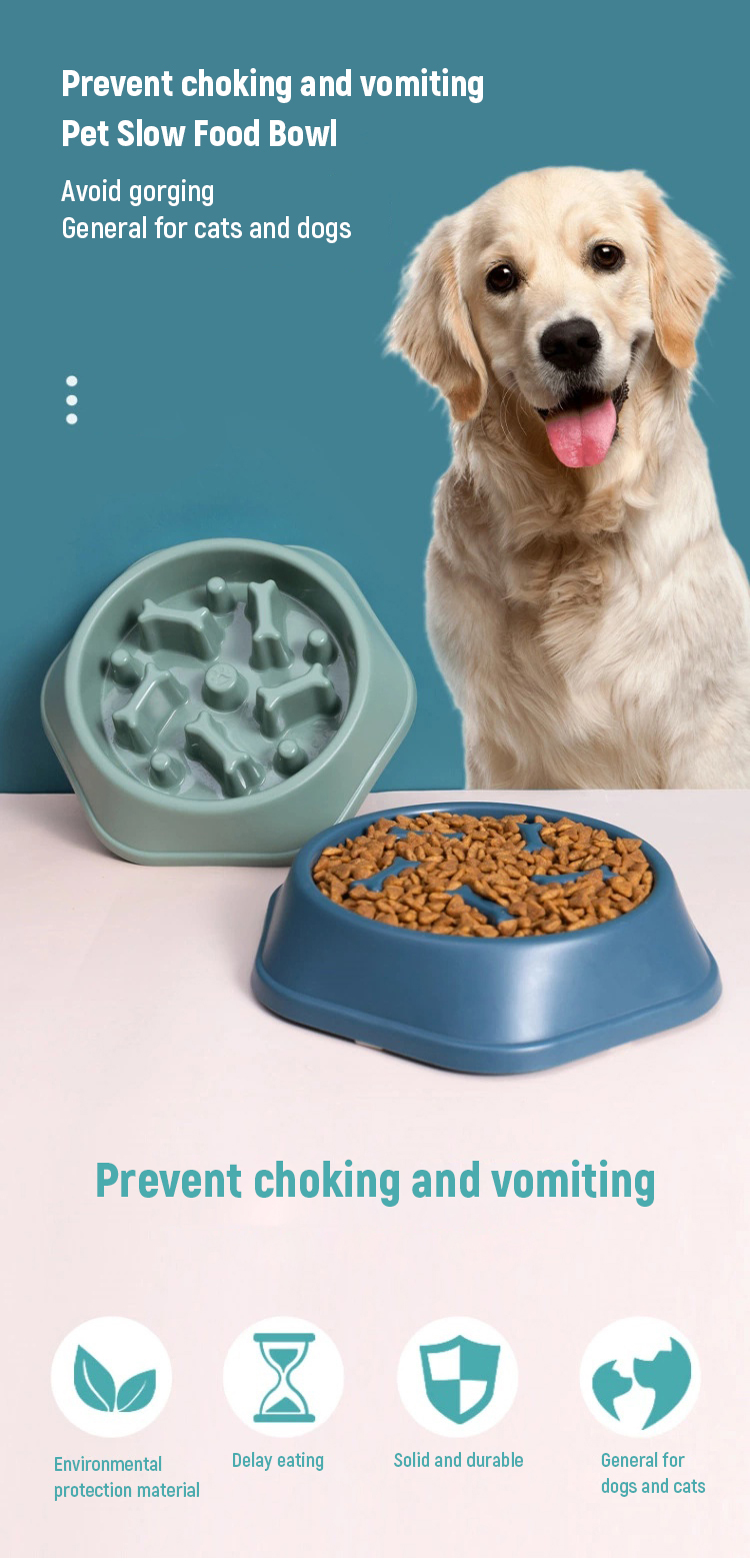 tigela de estimação pet bowl