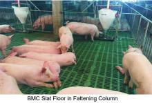 BMC Composite Floor in Pig Farm