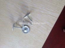 Round Galvanzied Cap Nail