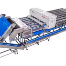 Pistachio Sorting Machine