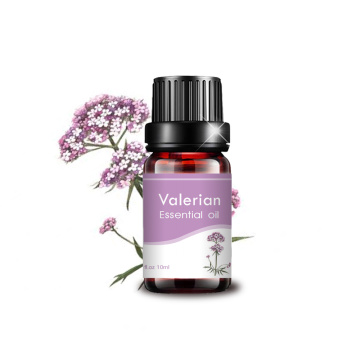 治療グレードのプライベートラベルPure 10ml Valerian Oil