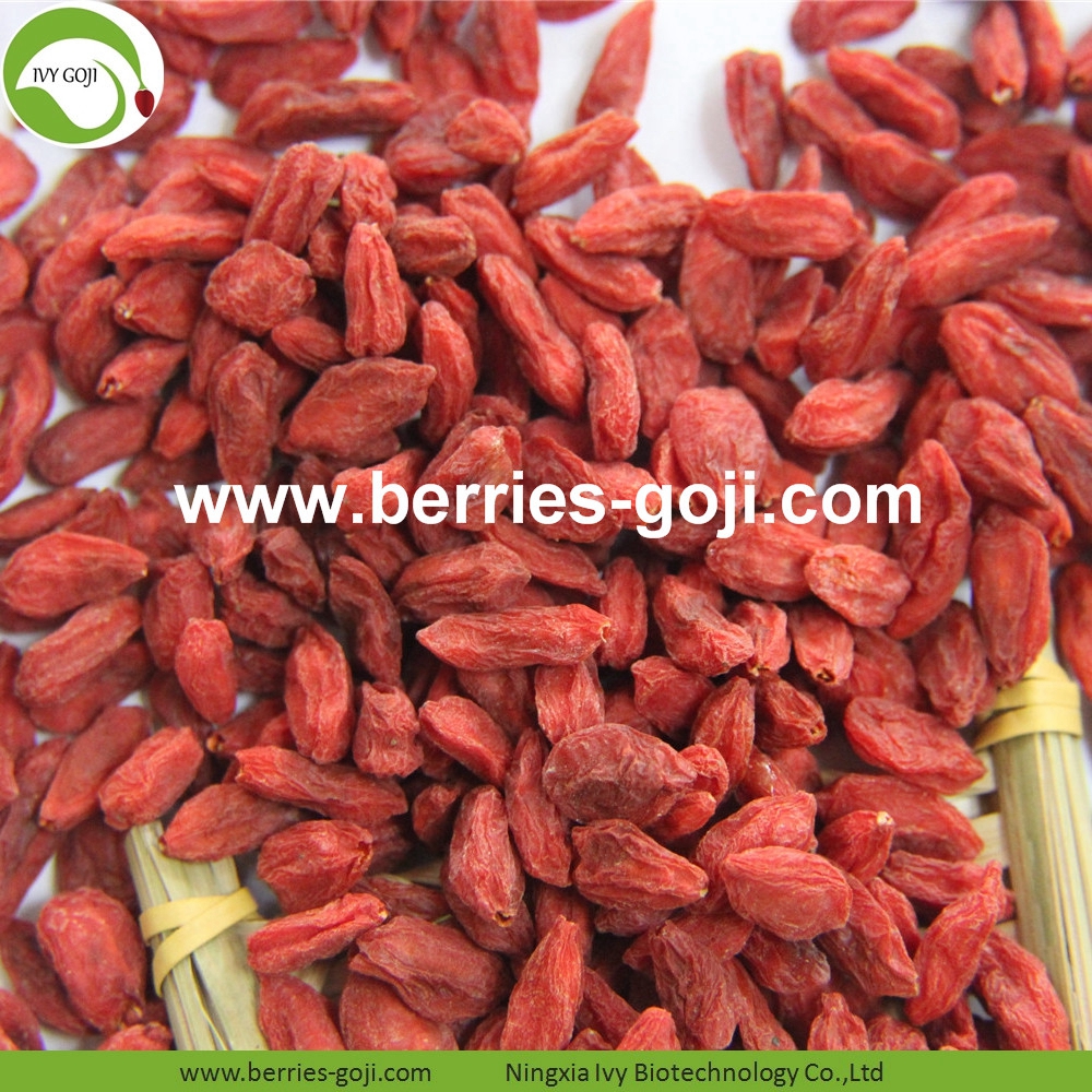Goji-Beeren goji berry