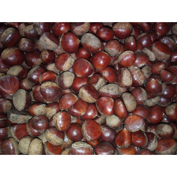 Toa ubora wa Standard wa Chestnut safi