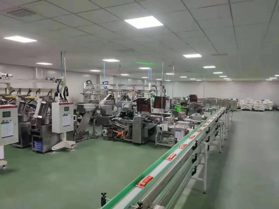 Multi-Fuction Automatic Strip Spaghetti Stick Noodle Pillow Bag Food Sealing Packing Machine