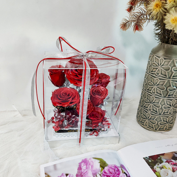 Eternal Flowers Rose Bushes Gift Box: Graduation, Halloween, Birthday, Marriage Confession