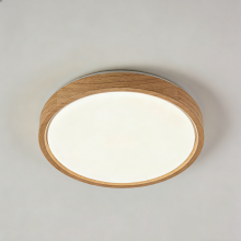 Simple design ceiling light fixture