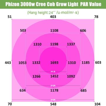 Phlizon COB 600W LED Innenleuchten