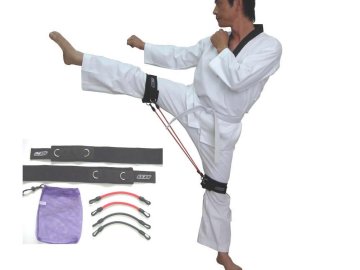 taekwondo kick training target