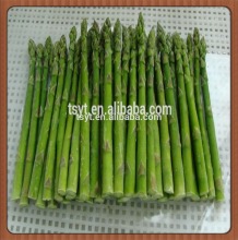 Non-GMO Frozen Green Asparagus (Spear/Tips/Center)