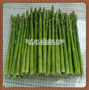 Non-GMO Frozen Green Asparagus (Spear/Tips/Center)