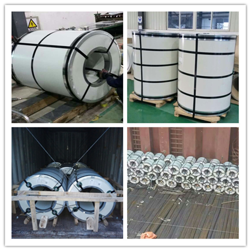 Food grade anti-bacterial powder coated steel coil PPGI steel coil for indoor decoration