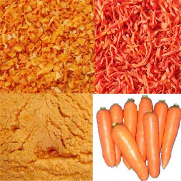 FDA Registered Ad Dried Carrot Powder