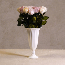 2025 Most Popular Preserved Roses: Venus Eternal Rosas in Vase