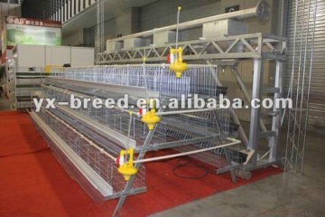 chicken egg poultry farm equipment