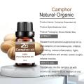 Harufu safi ya mafuta ya camphor camphorous aromatherapy