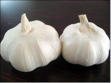 2014 new crop garlic Mesh bag garlic Natural garlic