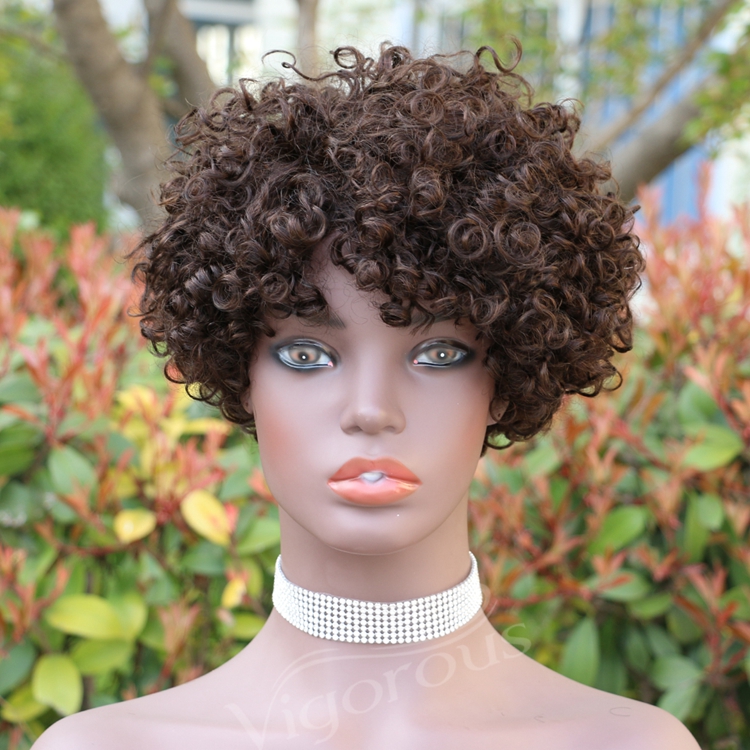 Vigorous Top Quality Brown Afro Kinky Curly Wigs for Black Women Short Side Part Human Hair Wholesale Price