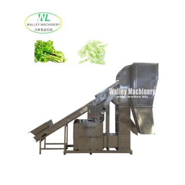 Factory Price Industrial FSJ Leafy Vegetables Winnowing Separator