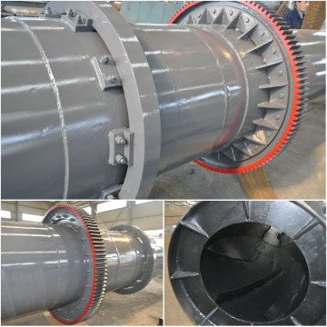 Competitive Price Dryer/Saw Dust Dryer/Dryer Plant