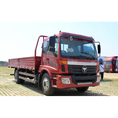 BRAND NEW FOTON CARGO TRUCK HAND DRIVE TANGAN