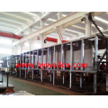 Parsnips Continuous Drying Machine