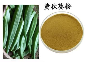 100% pure natural Okra extract Abelmoschus esculentus extract