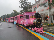 Pink amusement park track train
