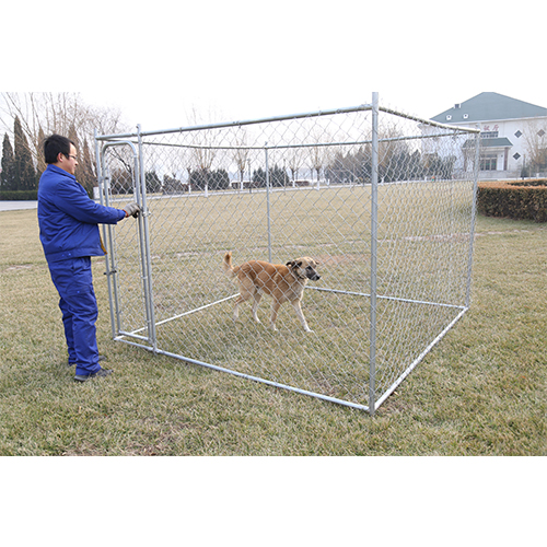 Galvanized Outdoor Chain Link Dog Kennel