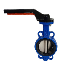 DIN Standard Cast Iron Butterfly Valves and SS304 Ball Valves