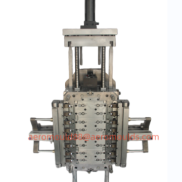 Professional custom plastic flip top cap mold-cap closed in mould