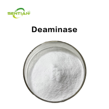 Supply Bulk Deaminase Enzyme with Custom Activity