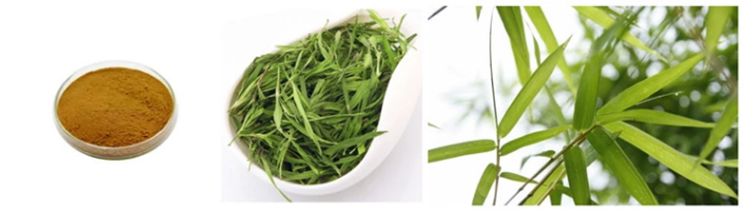 Bamboo Leaf Extract Powder Bamboo Leaf Extract Powder