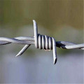 High Quality Electro Galvanized Barbed Wire Security Fence