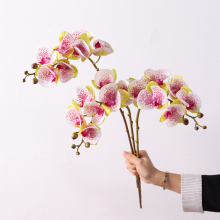 High Quality Phalaenopsis Orchid: Real Touch Artificial Flowers Factory Wholesale
