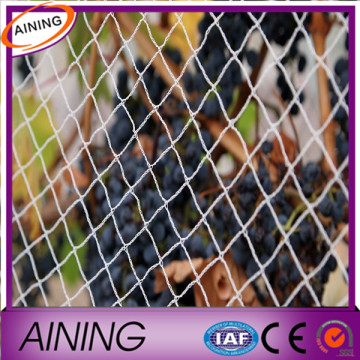 bird control netting /bird net trap/ hdpe agricultural bird netting