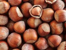 Delicious Chinese Hazel nuts