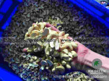 Vietnamese Cashew Nut Kernels LP