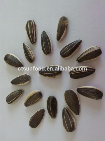 Round sunflower seeds price of sunflower seeds sunflower seeds market price