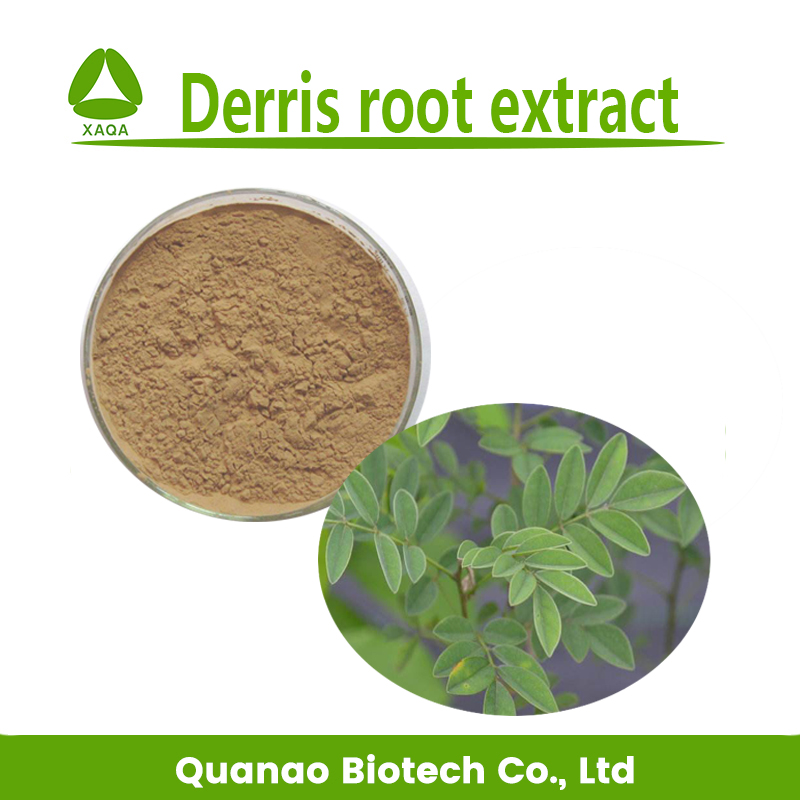 Polvo de extracto de raíz de rotenona Derris 10: 1 Bio Pesticidas