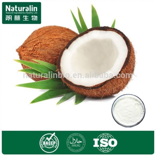 100% Pure Coconut Shell Powder/Coconut Milk Powder