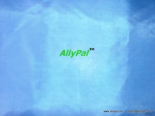 190T Polyester Taffeta / Polyester Taffeta / Polyester Taffeta Fabric