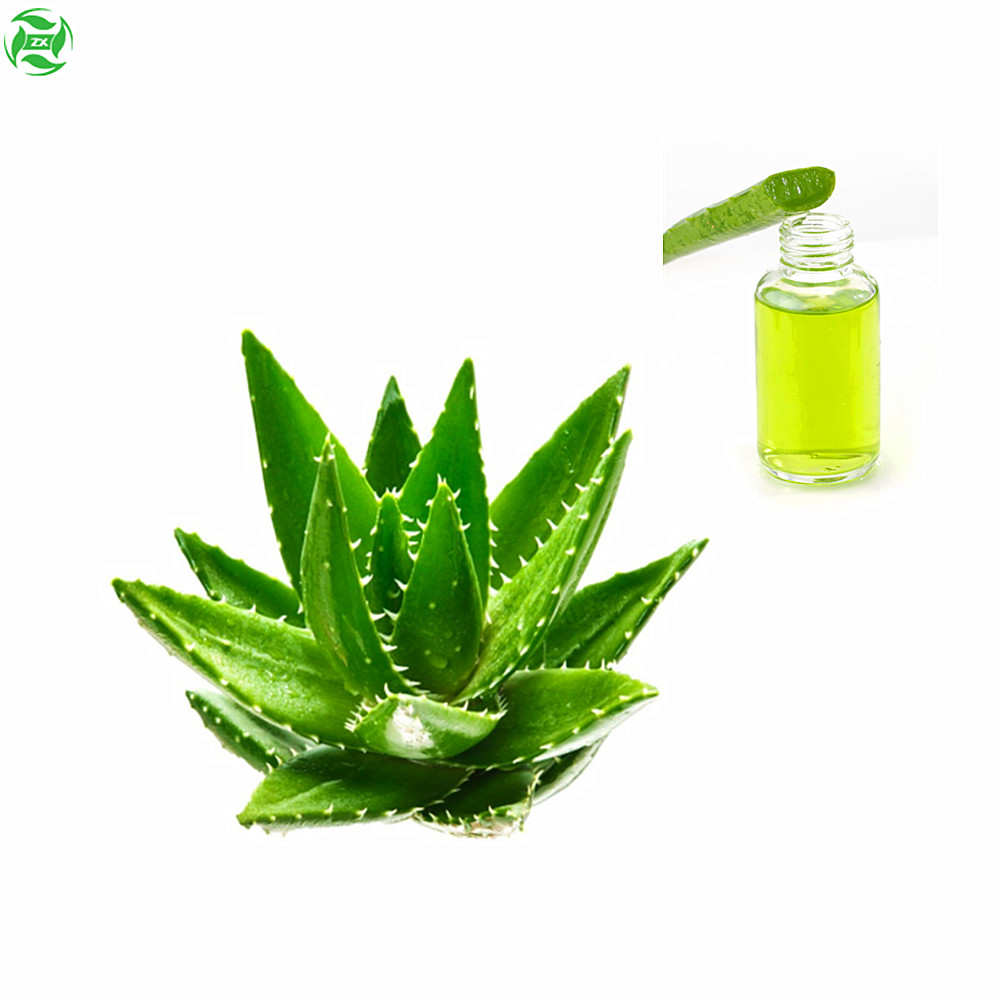 Venta Aceite facial natural Aceite de aloe vera orgánico