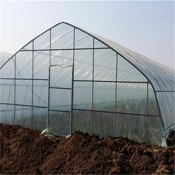 Agriculture Single Tunnel Plastic Film Greenhouse