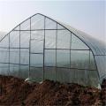 Agricultura Single Tunnel Plastic Film Greenhouse