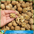 Bán buôn tự nhiên Walnut Unshelled Walnut trong vỏ bán