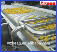 Lemon fruit sorting washing machine