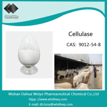 CAS Rn .: 9012-54-8 Neutral Biopoling Enzym / Cellulase für Textil
