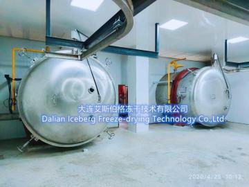 Continuous Batch Freeze Dryer